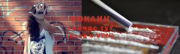 стаф Балахна