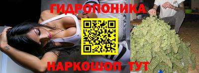 альфа пвп Лесосибирск