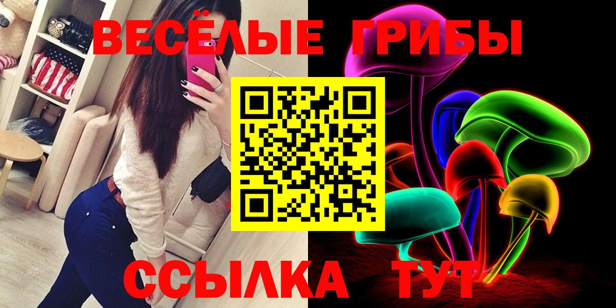 Псилоцибиновые грибы GOLDEN TEACHER  Вход с VPN  Строитель 